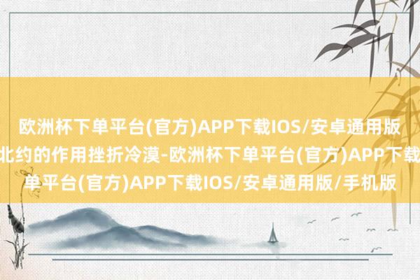 欧洲杯下单平台(官方)APP下载IOS/安卓通用版/手机版其中好意思国和北约的作用挫折冷漠-欧洲杯下单平台(官方)APP下载IOS/安卓通用版/手机版