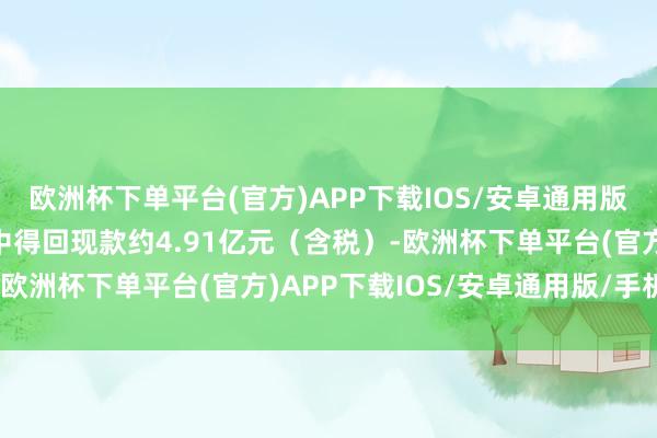 欧洲杯下单平台(官方)APP下载IOS/安卓通用版/手机版可从这次分成中得回现款约4.91亿元（含税）-欧洲杯下单平台(官方)APP下载IOS/安卓通用版/手机版