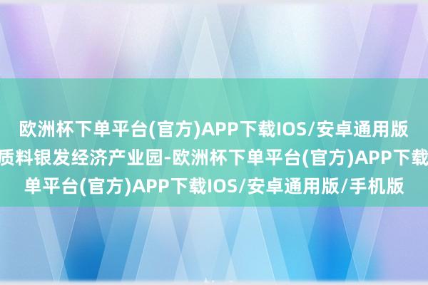 欧洲杯下单平台(官方)APP下载IOS/安卓通用版/手机版推动修复一批高质料银发经济产业园-欧洲杯下单平台(官方)APP下载IOS/安卓通用版/手机版