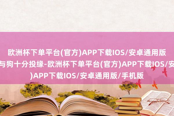 欧洲杯下单平台(官方)APP下载IOS/安卓通用版/手机版他自幼便与狗十分投缘-欧洲杯下单平台(官方)APP下载IOS/安卓通用版/手机版