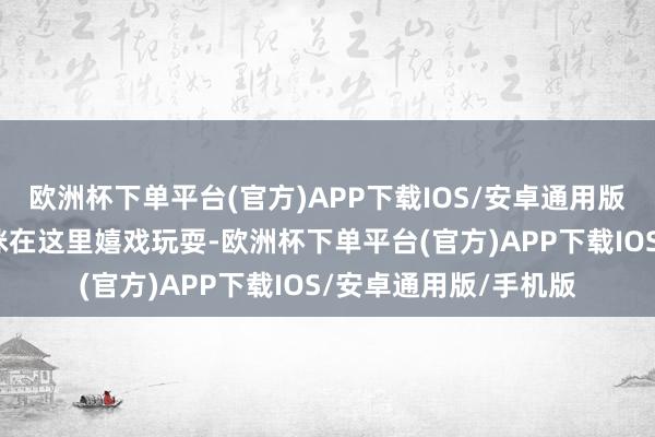 欧洲杯下单平台(官方)APP下载IOS/安卓通用版/手机版也有不少猫咪在这里嬉戏玩耍-欧洲杯下单平台(官方)APP下载IOS/安卓通用版/手机版
