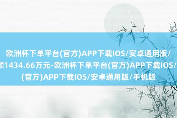 欧洲杯下单平台(官方)APP下载IOS/安卓通用版/手机版面前融资余额1434.66万元-欧洲杯下单平台(官方)APP下载IOS/安卓通用版/手机版